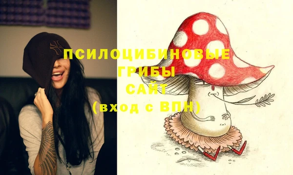 Альфа ПВП Балабаново